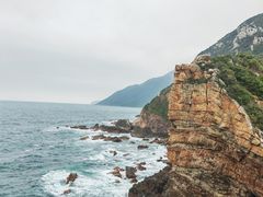 -杨梅坑