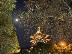 -南宋御街