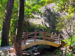 -火炉山森林公园