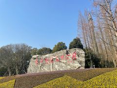 -东平国家森林公园