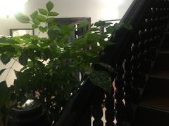 -上海戏剧学院附属高级中学