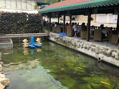 -京北渔家傲