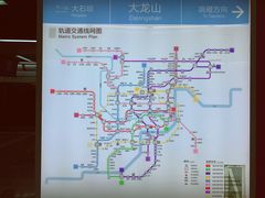 -大龙山(地铁站)