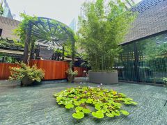 -Tivano意大利餐厅(成都居舍酒店)
