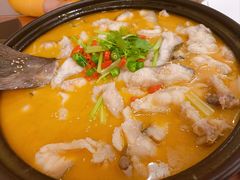 -鲁宴·鲁煨黄河生态大鲤鱼(月坛店)