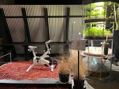 -现代汽车文化中心 Hyundai Motorstudio Beijing