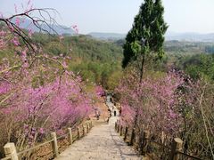 -天台山赤城山景区
