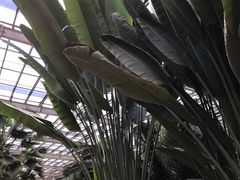 -龙达温泉生态城