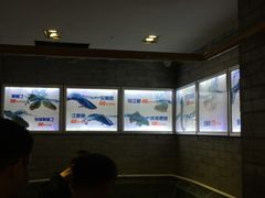 -老凯俚酸汤鱼(鸿通城店)