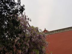 -北京市劳动人民文化宫(太庙)