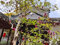 -上海醉白池公园