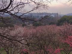 -无锡梅园公园