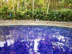 -台山颐和温泉城