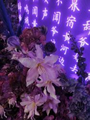 -黛莱皙护肤美妆