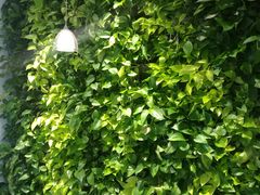 -好利来(永安道店)