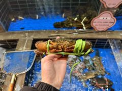 -三品香·江浙菜(松江九谊店)