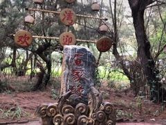 -北海金海湾红树林生态旅游区