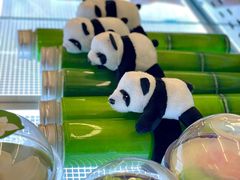 抱竹牛奶-红星前进面包牛奶公司(君太店)