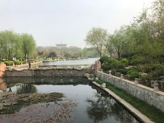 -丁家河公园