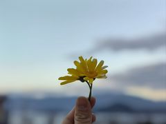 -丽江泸沽湖景区