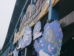 -泉城欧乐堡海洋极地世界