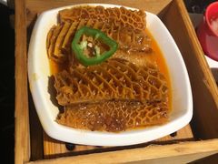 杨协成沙爹金钱肚-新好景海鲜酒家(新塘店)