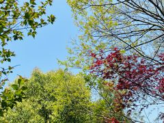 -杭州半山国家森林公园