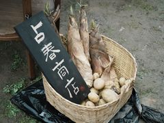 -杭州植物园