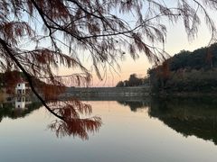 -青龙山国家森林公园