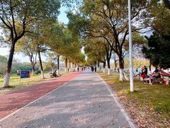 -艾溪湖湿地公园