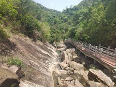 -广州白江湖森林公园