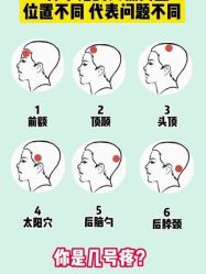 -Bollins波林丝•专研护发中心