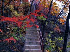 -天女山森林公园