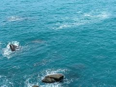 -广东惠东海龟国家级自然保护区