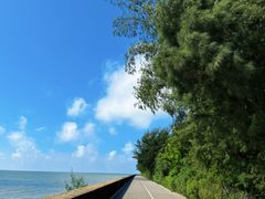 -北海金海湾红树林生态旅游区