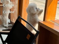 -MOI COFFEE(江山汇悦山府店)