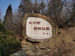 -白水寺森林公园