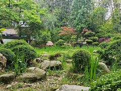 -望江楼公园