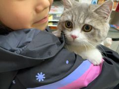 -八公叔叔宠物美容连锁(春申店)