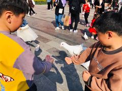 -合肥融创乐园