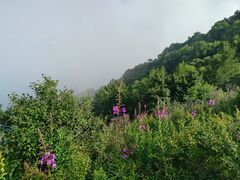 -白草畔自然风景区