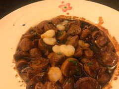 -常州富力喜来登酒店 Feast盛宴标帜西餐厅(新北万达广场店)