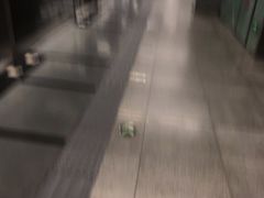 -黄村西大街(地铁站)