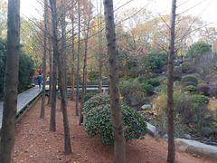 -宝界山林公园