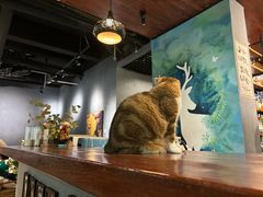 -咖法森林·咖啡  酒吧(天河店)
