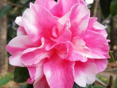 -昆明市金殿名胜区