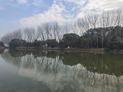 -同里国家湿地公园