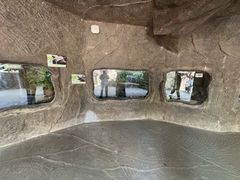 -青青世界