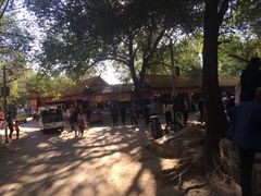 景点-廊坊市自然公园