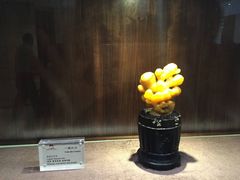 -白天鹅宾馆·流浮阁咖啡厅